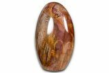 Freestanding, Polished Petrified Wood - Madagascar #384368-2